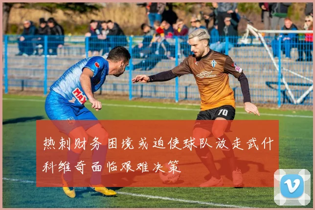 热刺财务困境或迫使球队放走武什科维奇面临艰难决策